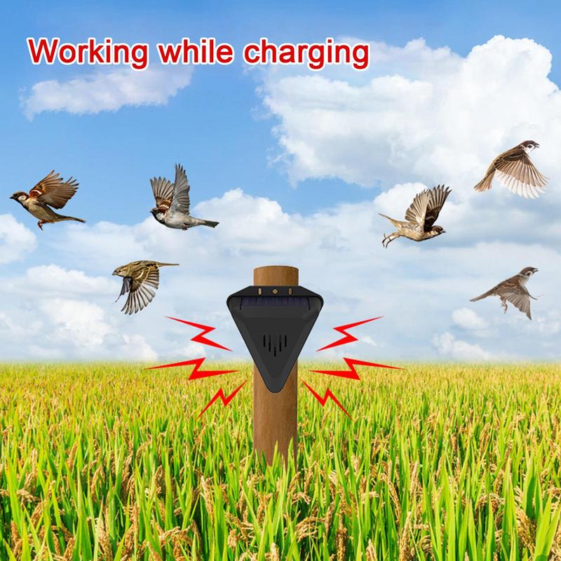 الموقت الشمسي مبيد الحشرات الط - مراجعة Solar Bird Scarer وسعره
