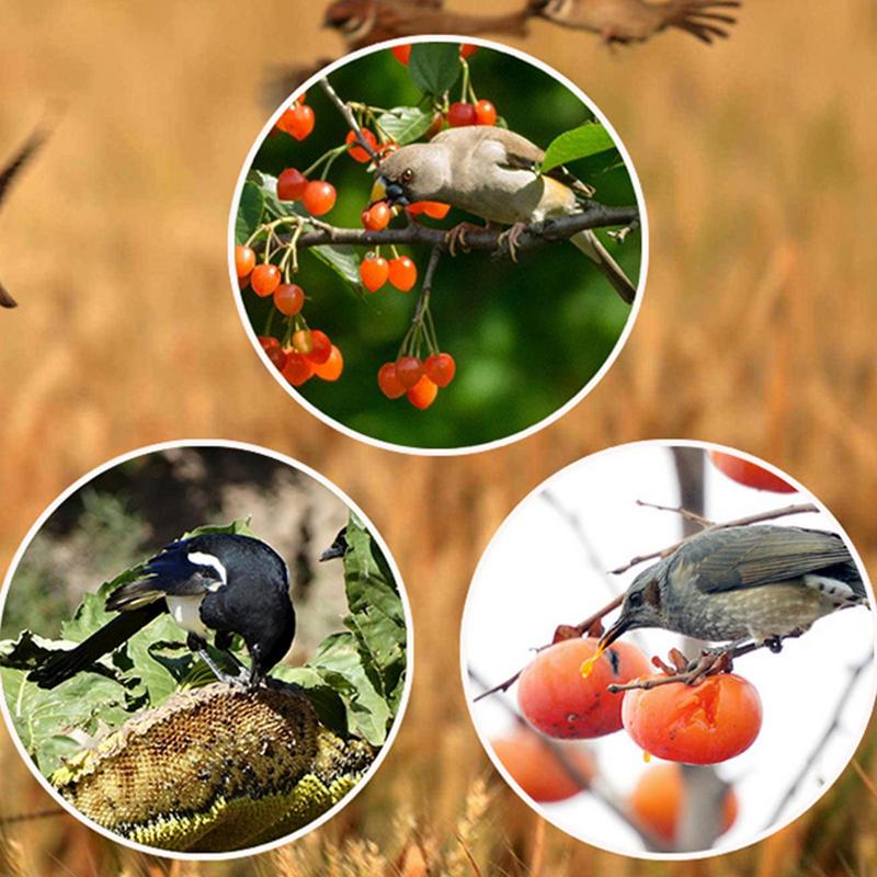 الموقت الشمسي مبيد الحشرات الط - مراجعة Solar Bird Scarer وسعره