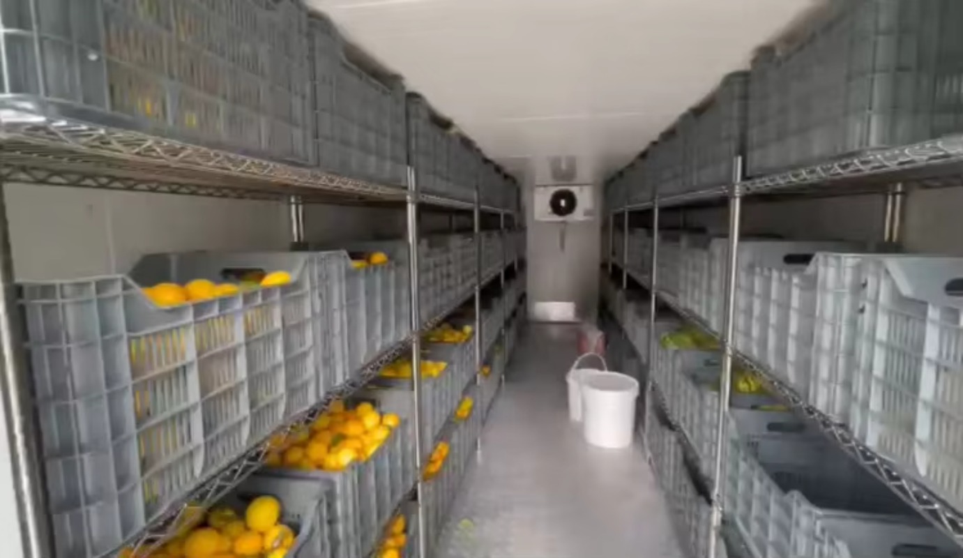 غرفة تخزين باردة تعمل بالطاقة  - مراجعة Farming Africa وسعره